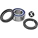 Quadboss Wheel Bearing Kit (Rear) Compatible with 00-05 BOMBARDIER DS650