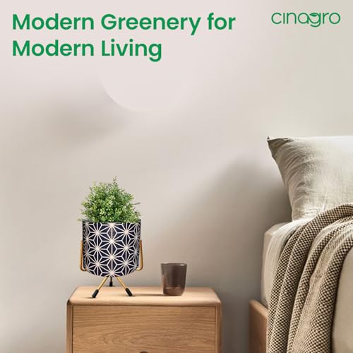 Image of CINAGRO Metal Flower Vase Planter Pot with Iron Stand, Pots for Plants, Plant Pots for Home Decoration, Succulent Pot, Indoor Planter Balcony Garden Decor (Size: 6X6 inch) Style: Regal Reflection