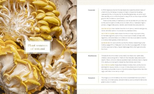 Image of Big Vegan Flavor: Techniques and 150 Recipes to Master Vegan Cooking