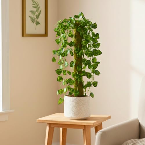 Image of fancymart Artificial Green Leaf Hanging Creeper on Moss Stick (Without Pot) - 60 cm Tall Hanging Creeper Plant for Indoor Home, Office, Restaurant & Cafe Decoration