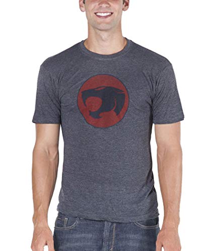 Amazon.com: Thundercat Symbol Vintage T-Shirt-Small Heather