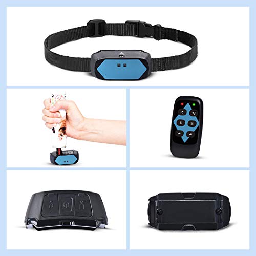 SCA Pillow WAD - Grandi trucioli di Bale, 20 kg