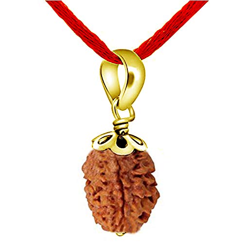 JewelryGift Trimukhi Rudraksh 3 Face Teen Mukhi Lab Certificado nepalí Chapado en Oro Colgante Rudraksha para Hombres y Mujeres