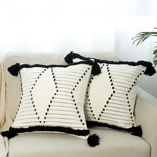 Blue Page SQ1111-BLACK-45X45 Throw Pillow Covers For Couch Sofa cover