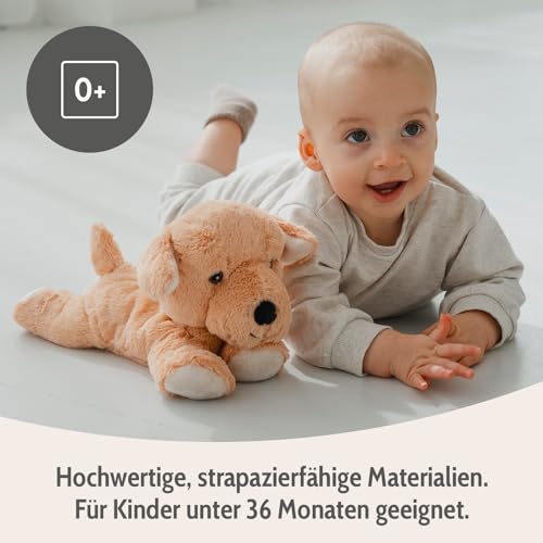 Habibi Plush Wärmekissen/Stofftier f. Kinder und Erwachsene – 1873 Hund Labrador mit Hirsefüllung, Wärmekuscheltier zum Erwärmen in der Mikrowelle/Backofen, ideal auch für Babys