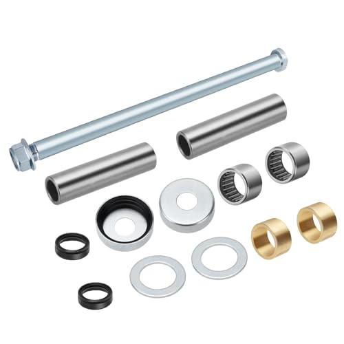 Fin des vibrations du bras oscillant Raptor 700 avec ce kit roulement