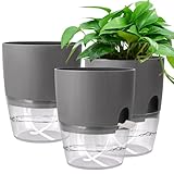 3 Vasi per Erbe Aromatiche da Cucina, 15 cm Vaso con Autoriego e Stoccaggio Dell