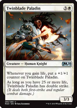 Magic: The Gathering - Twinblade Paladin - Planeswalker