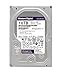 Western Digital WD Purple Pro 10 TB SATA 6Gb/s 3.5inch internal 7200Rpm 256MB Cache 24x7 Festplatte Serial ATA 3,5 " 10.000 GB 7.200 rpm 256 MB