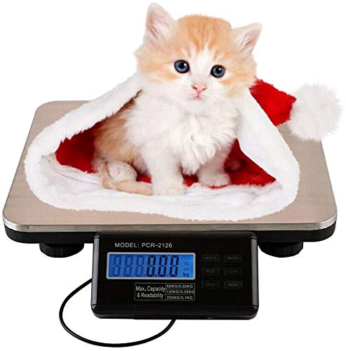 YIYIBYUS Digital Pet Scale Max 41% OFF LCD Bench P Water-Proof Floor Max 76% OFF