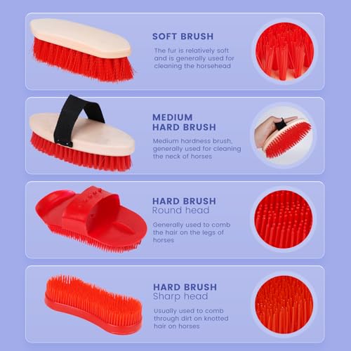 KHEARPSL Kit de higiene de cavalos, escovas de cavalos para cuidados com 10 peças, conjunto de ferra