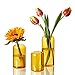 ZENS Kleine Vase Set 3er, Bernstein Glas Vasen Modern Zylinder Knospe Blumenvase mit Schmalem Mund für Hochzeit Deko, Handgeblasen Tisch Glasvase für Heimdekoration Mittelstücke