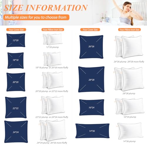Pillows Insert 16'' x 16'' Set of 2, Decorative Throw Pillows with Luxury Silky Covers for Indoor Couch, Sofa or Bed Decors, White Striped Cushion Sham Stuffer
