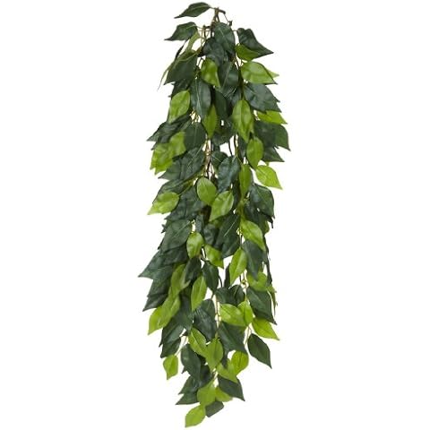 Exoterra Ruscus Plante Grand Modèle Cover