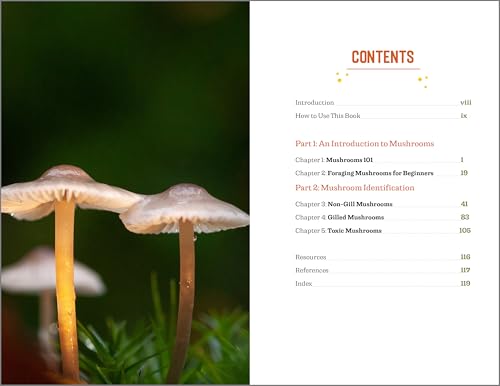 Callisto Stephenson, Karen Beginner'S Guide To Safely Foraging For Wild Mushrooms: Identifying And Collecting Mushrooms Sustainably With Confidence thumb #7