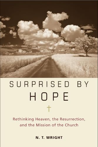 Surprised By Hope view 2