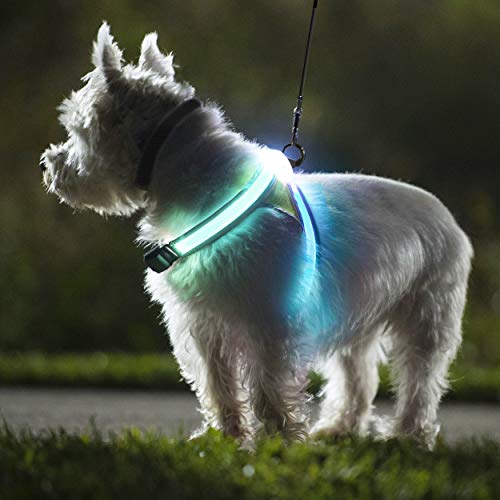 noxgear LightHound – Revolutionary Illuminated and Reflective Harness for Dogs Including Multicolored LED Fiber Optics (USB Rechargeable, Adjustable, Lightweight, Rainproof)