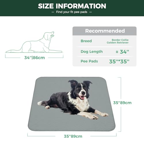 Image of FXW Washable Pee Pads for Dogs, Leak-Proof & Non-Slip, Specifically Designed for Potty Training, 35 inch Square, Gray, 4 Packs