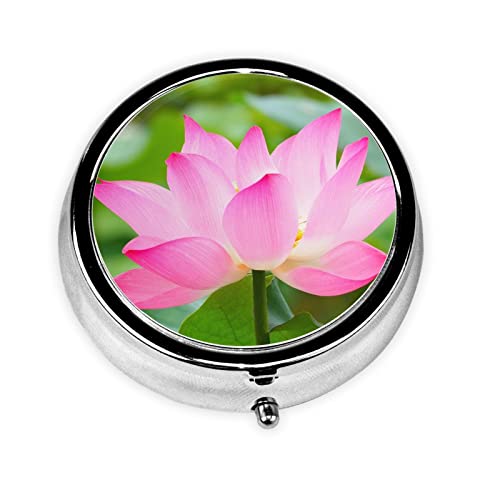 @̉ԂQ sP[X P[X 肢P[X TvP[X gїp  ݖYh~ RpNg 킢  ^[P[X  g