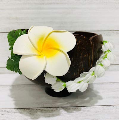 Amazon.co.jp: 天然ココナッツ使用*スタンド小物入れ*ピカケ