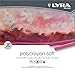 LYRA Polycrayons Soft Pastel Crayons, Set of 24 Crayons, Assorted Colors (5651240)