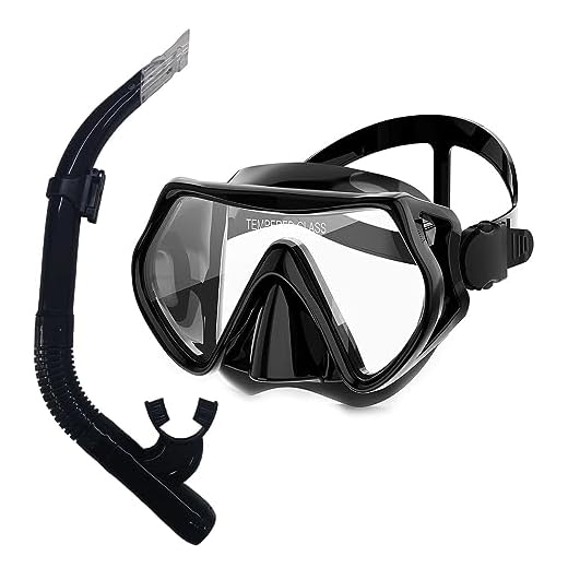 Máscara Mergulho Snorkel Kit Óculos Respirador Conjunto Adulto Juvenil Praia Piscina Ajustável