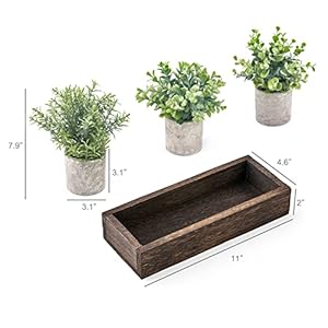 Dahey 3 Pack Mini Potted Artificial Eucalyptus Fake Plants with Wood Tray Centerpiece Table Decorations, Farmhouse Pulp Flower Pots Greenery Home Decor for Coffee Table Dining Room Office Kitchen Dahey 3 Pack Mini Potted Artificial Eucalyptus Fake Plants with Wood Tray Centerpiece Table Decorations Farmhouse Pulp Flower Pots Greenery Home Decor for Coffee Table Dining Room Office Kitchen