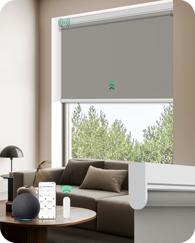 Allesin Motorized Roller Blinds