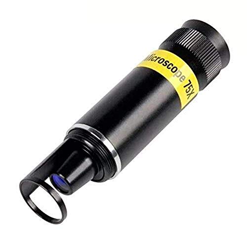 Preisvergleich Produktbild Halskette Künstliche Perle Sonnenblume Charme Charme Kette Halskette Frauen Hochzeit Zubehör Koreanische Viper Mädchen Jahr Geschenk