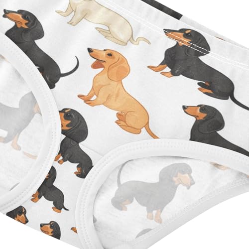 ZZKKO Dachshund Dogs Girls Underwear Toddler Panties for Girls Comfort Brief Size 2-8T3