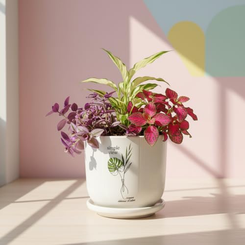 Image of Xtore Ceramic Planter with Drainage Tray | Minimal Botanical Print Flower Pot for Home, Study Table, Office Desk & Window Decor - (White, 1 Piece, Planter ONLY)