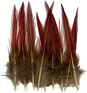 10 Pieces - 4-6" Natural Red Golden Pheasant Red Tip Loose Pointy Feathers Accessories Fly Tying Craft Supply | Moonlight Feather