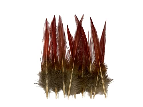 10 Pieces - 4-6" Natural Red Golden Pheasant Red Tip Loose Pointy Feathers Accessories Fly Tying Craft Supply | Moonlight Feather #TOP1