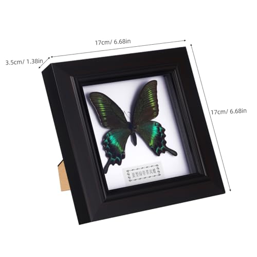 Insecto simulado en marco jojofuny como obsequio único para pared 2
