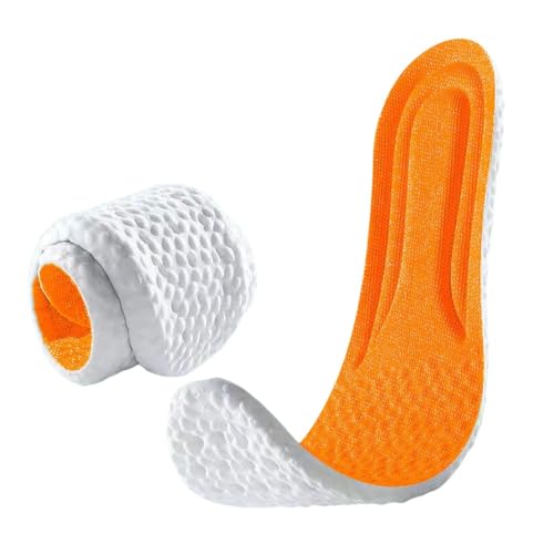 AZIEBAY C\[ [2g] Jy Ռz R L _炩 ʋC z A[`T|[g d oEhT|[g X|[c (IWF,TCY43-44)