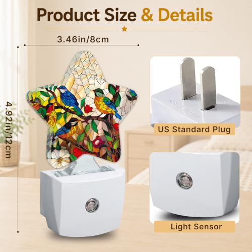 Image of Colorful Hummingbird Star Night Light Plug in, Soft Glow Night Light for Kids Bedroom Nursery, Gentle Warm Light for Sleep, Compact Lamp for Hallway Bathroom