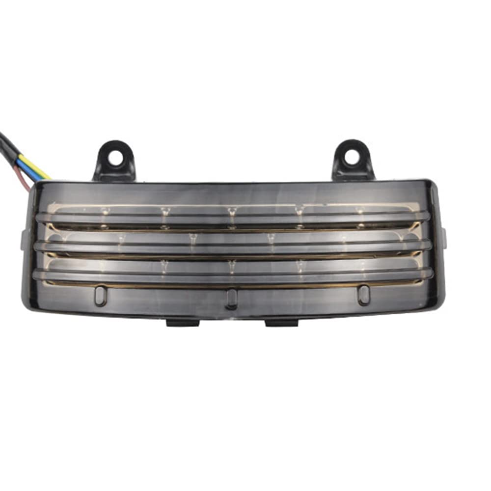 Riloer Fanale posteriore del motociclo luce di posizione lampeggiante luce di stop per Harley Davidson FLHX/FLTRX Street Glide Touring, per Tou-ring Ro-ad Gli-de Cus-tom FLTRX 2010-2013, EFI -FLTRI