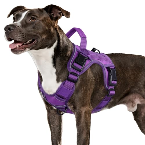 WINGOIN Purple Tactical Dog Harness M