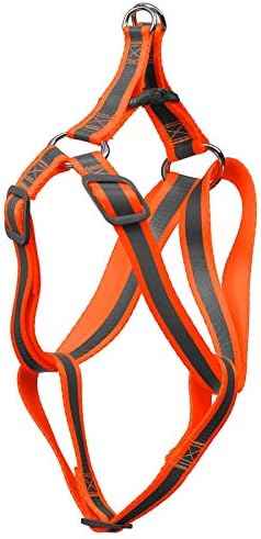 Nite glo dog harness Clearance