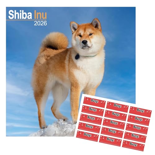 Shiba Inu Kalender 2026 | Eckiger Hunderasse Wandkalender | 16 Monate | mit Organisationsaufklebern