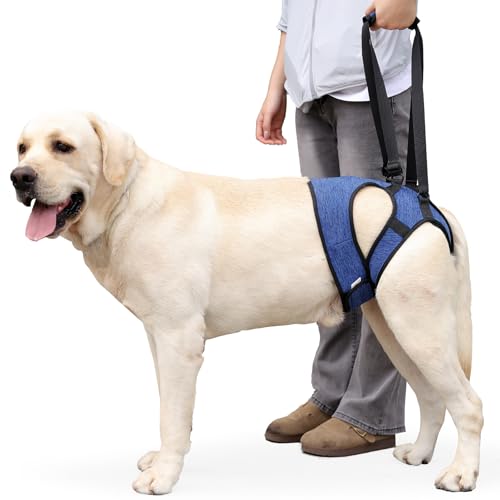 THKWOO 犬介護ハーネス 脱落防止設計 犬 歩行補助ハーネス 通気性サポートスリング 調整可能 後肢補助 高齢犬 術後回復期 関節炎 障害ペット 散歩 階段の上り下り 移動の補助用 老犬介護用品(ブルー M)（Amazon）