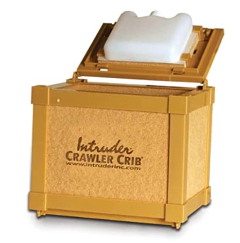 INTRUDER CrawlerCrib Small
