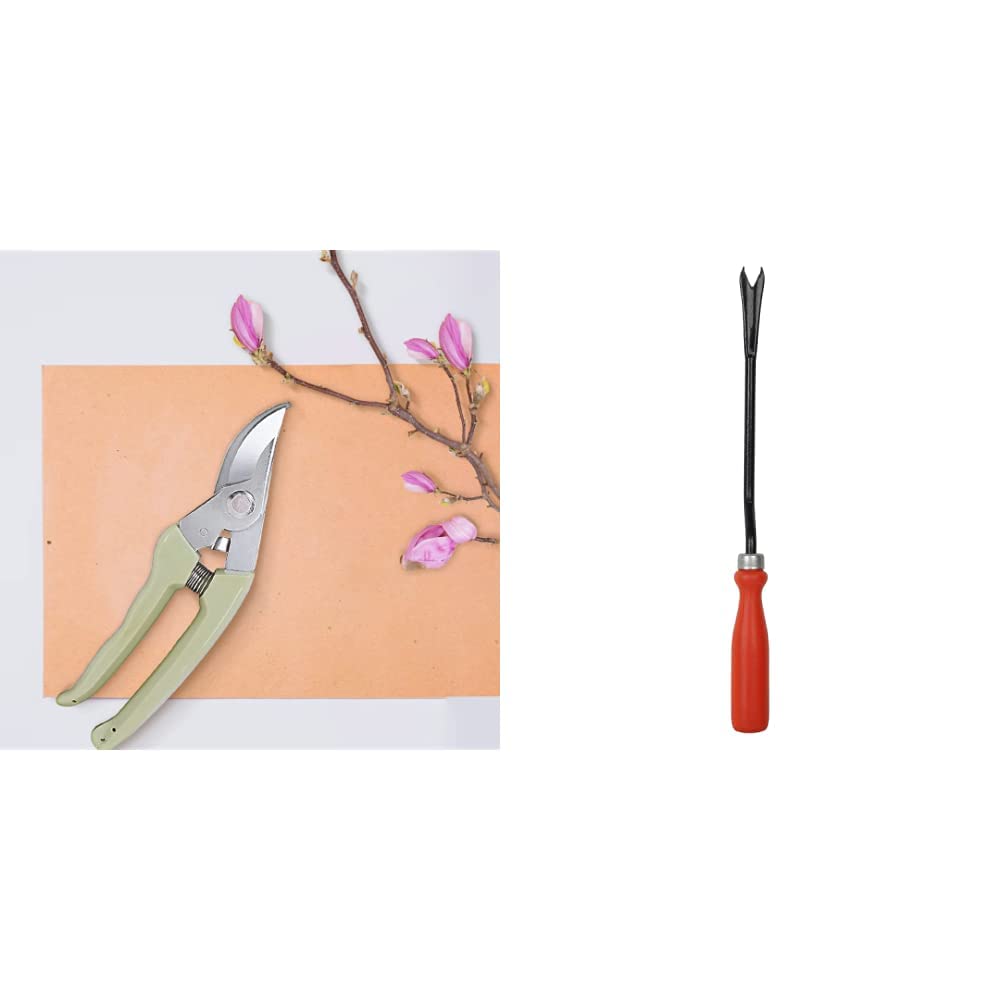 See full amazon price history chart for Kraft Seeds Pruning Shear Cutter for All Purpose Garden Use & iWeeder Kraft Seeds Pruning Shear Cutter for All Purpose Garden Use & iWeeder (B087D6W1QG) Amazon Price History, Amazon Price Tracker