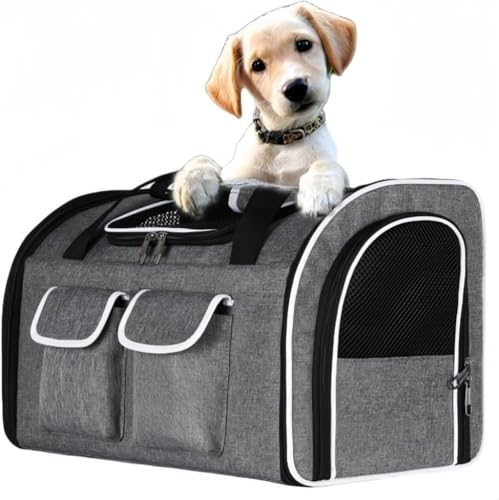 Zeruho ybg L[obO L bN  bN ybgL[ ybgp ^obN ʋC 萫 e p Lp ^ ^ 2C[ 15L yʂŎ^тȒP /L/Kp s/ʉ@/U/dԈړ/p 傫