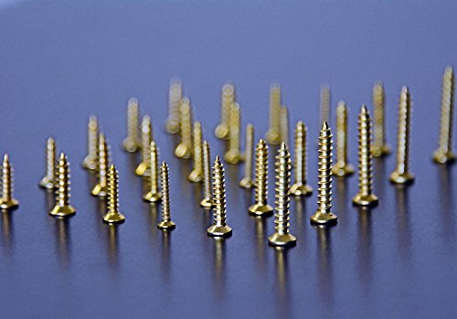 Swordfish 32051-500pc Brass Plated Wood Screw Assortment miniatura 2