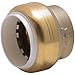 SharkBite 1 Inch PVC Cap, Push to Connect Brass Plumbing Fitting, Copper, CPVC, PE-RT, HDPE, UIP520A