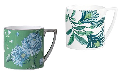 Amazon.co.jp: ウェッジウッド: ジャスパー・コンラン