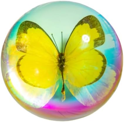 Real Butterfly Specimen in Resin,Insect Specimens for Education