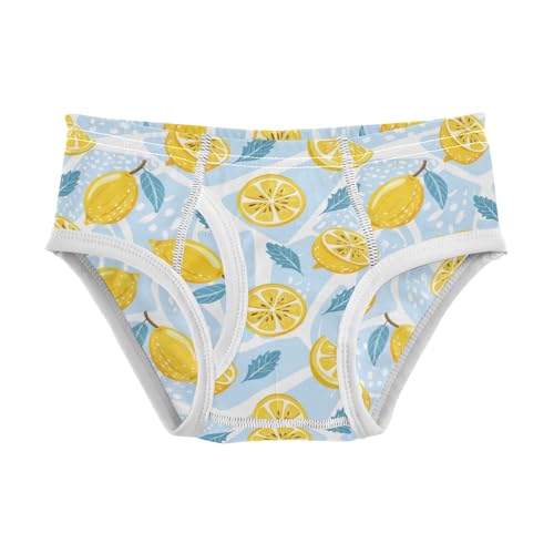 Boys' Exclusive Briefs Toddler Underwear 95% Combed Cotton Boxerbriefs 2T Lemon and Leaf Pattern 37