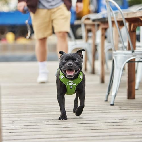 Hurtta Weekend Warrior Hundegeschirr II ECO (Parsley, 65-80 cm)